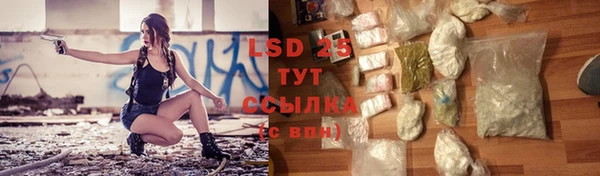 трава Гусиноозёрск