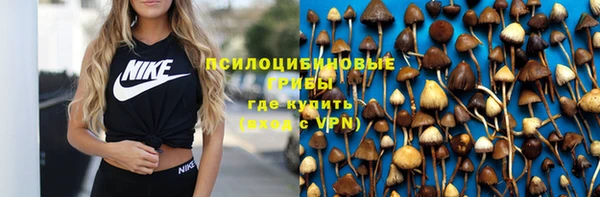 экстази Гусь-Хрустальный