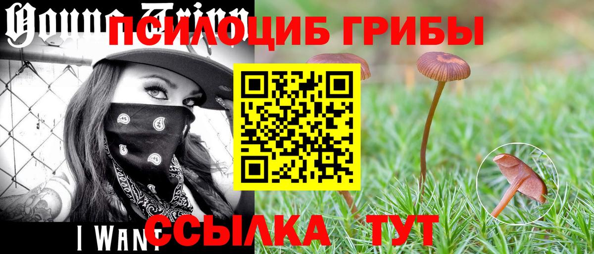 Галлюциногенные грибы прущие грибы Наро-Фоминск