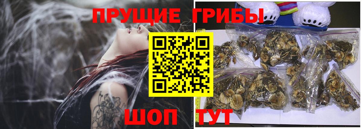 Галлюциногенные грибы GOLDEN TEACHER  Вход с VPN  Наро-Фоминск  Галлюциногенные грибы MAGIC MUSHROOMS 